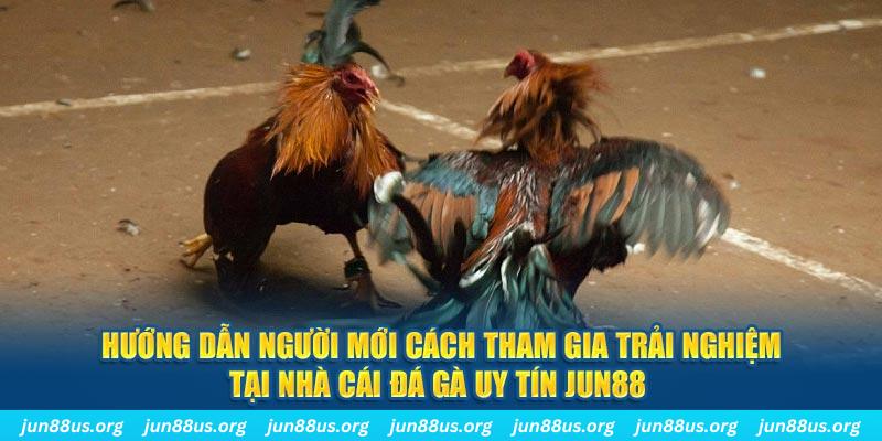 god55 CQ9 Điện Tử