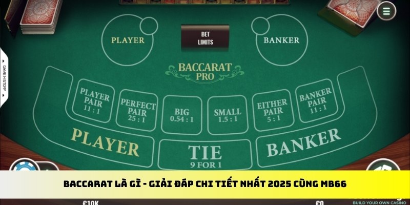 god55 gà chọi cu cần