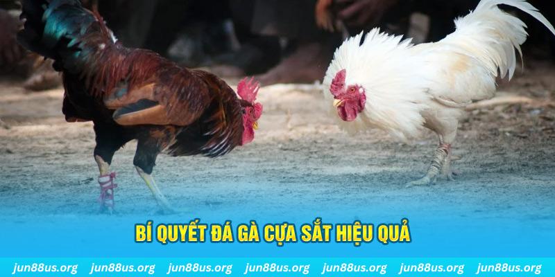 god55 xin 1 slot là gì