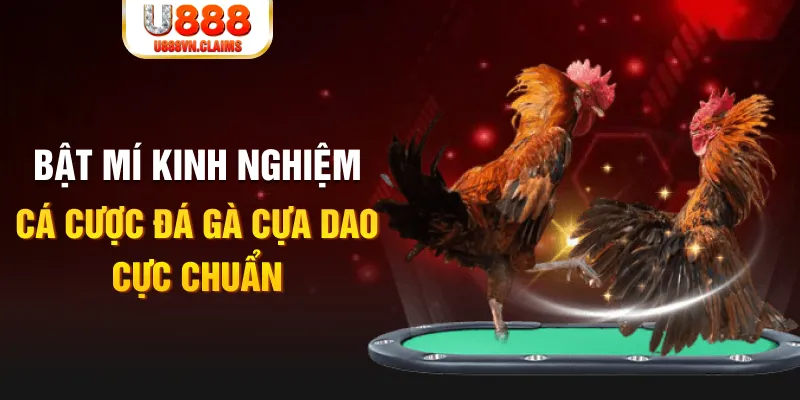 god55 tỷ lệ cá cược châu á là gì