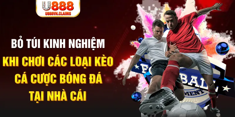 god55 Tài Xỉu