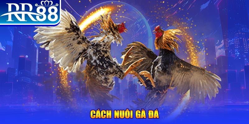 god55 xổ số an giang