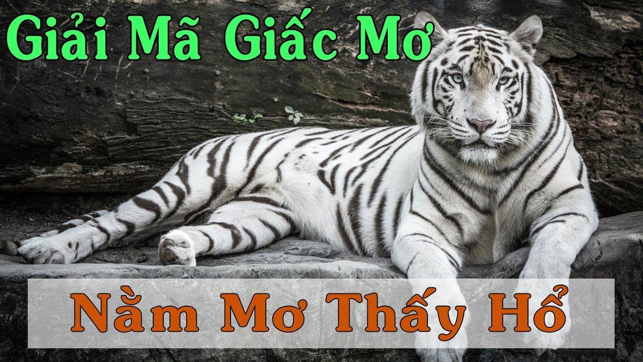 god55 xổ số 3 miền