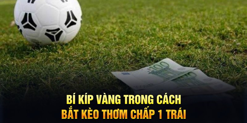 sổ xô miên bắc