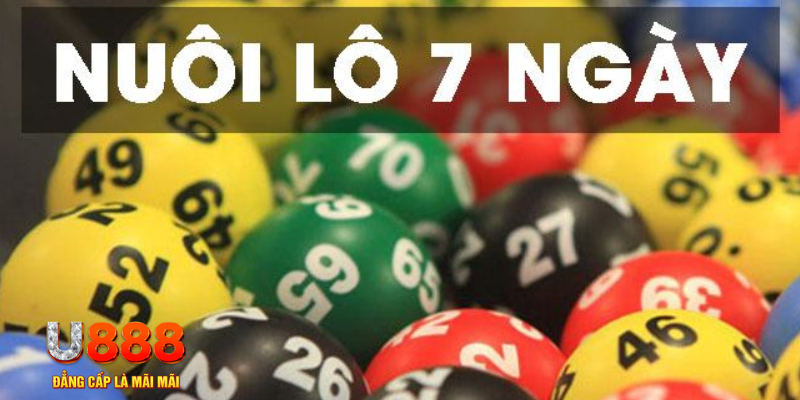 god55 slot là j