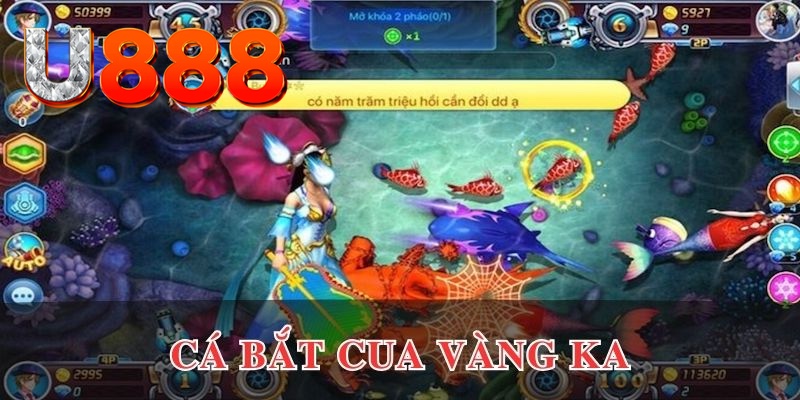 god55 kết quả xổ số hôm nay