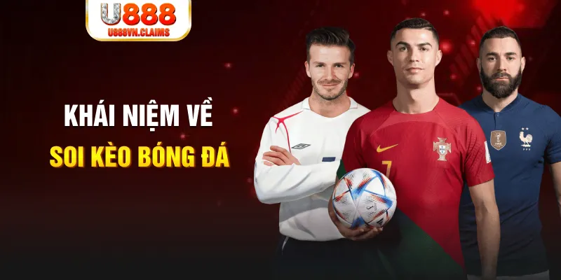god55 xổ số miền bắc hàng tuần