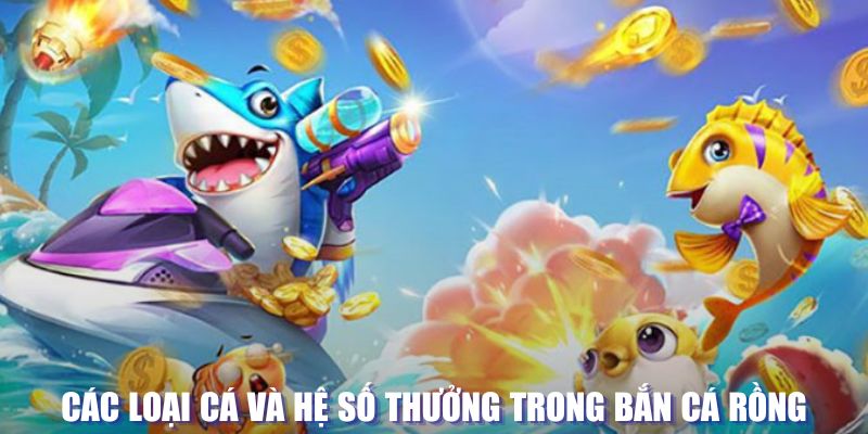god55 đăng nhập sòng bạc mới nhất