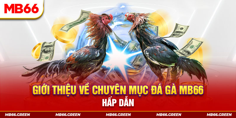 god55 đăng nhập sòng bạc đổi thưởng