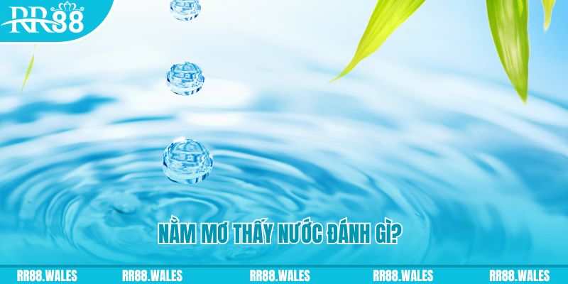 god55 TP Bắn cá