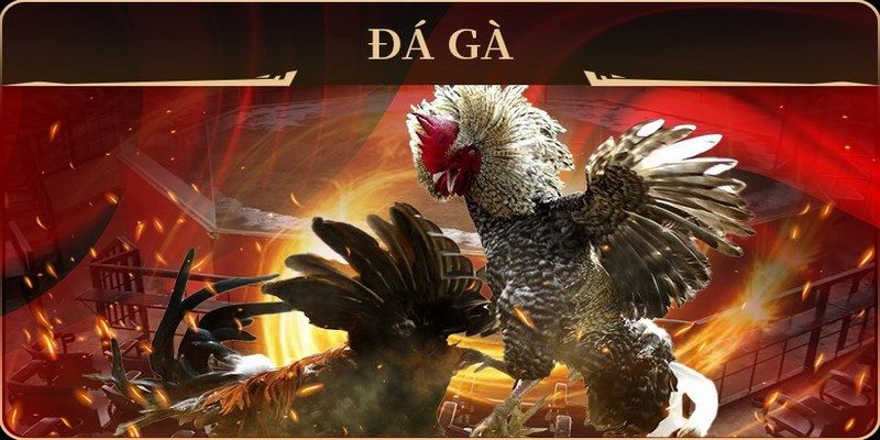 god55 xổ số miền nam thứ hai