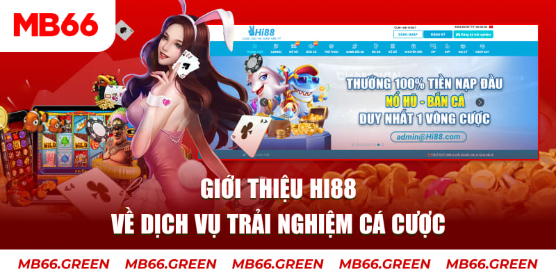 god55 ga choi hoa phong