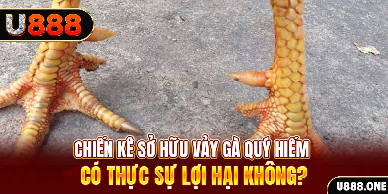 god55 nohu .mx nổ hủ là gì
