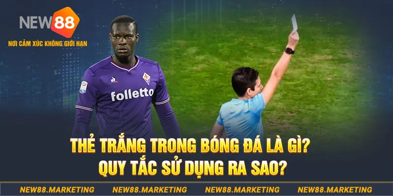 god55 gà chọi mộc hóa
