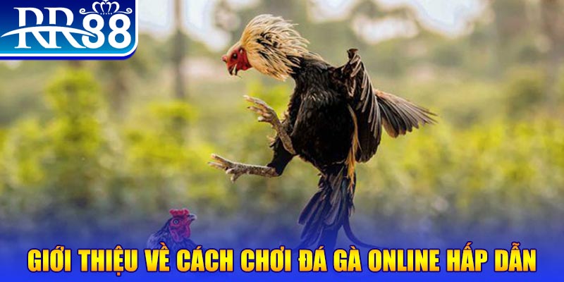 god55 game nổ hũ rút tiền mặt là gì