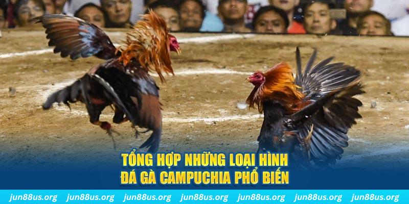 god55 đăng nhập nổ hũ 2024
