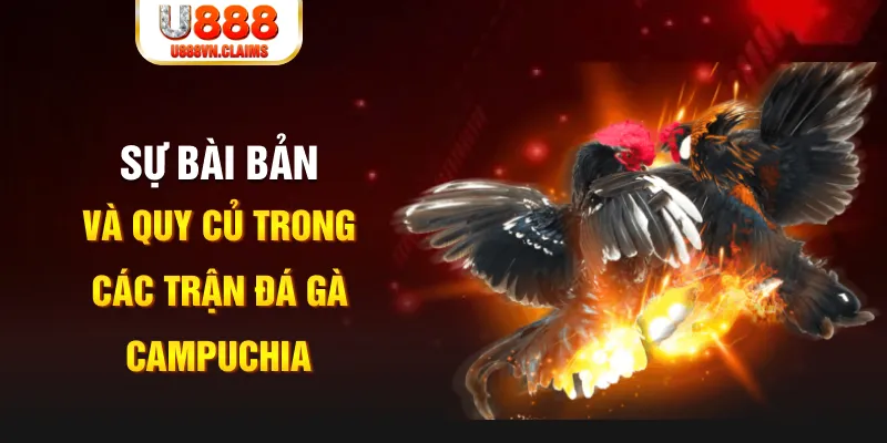 god55 YGR Điện Tử