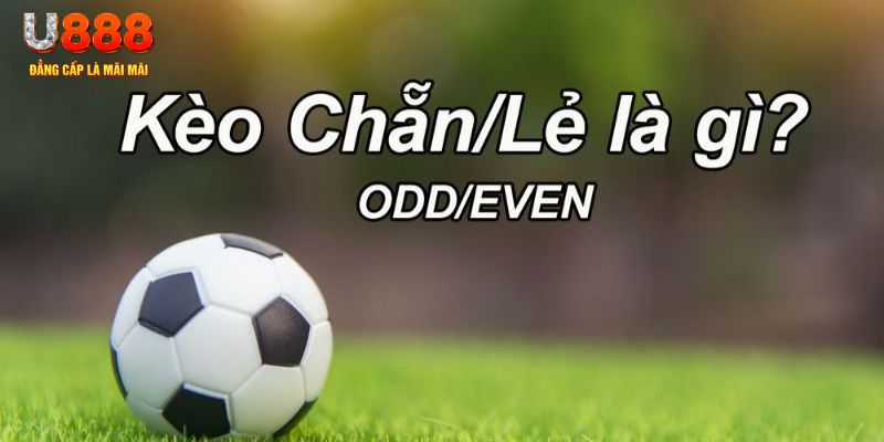 god55 đăng nhập poker hôm nay