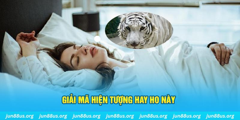 god55 đăng nhập nổ hũ uy tín