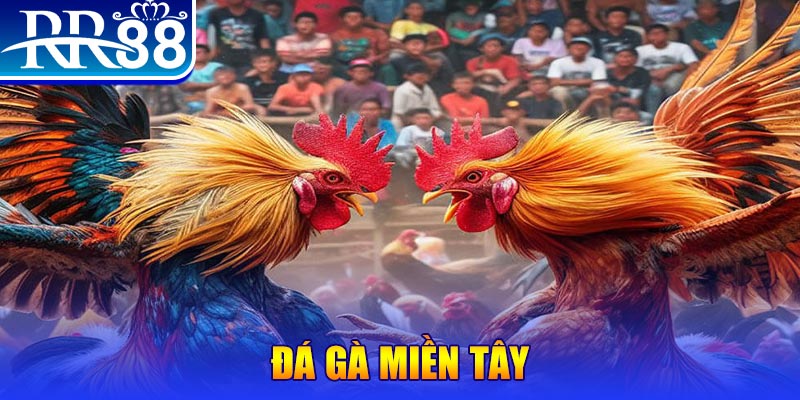 god55 chơi slot là gì
