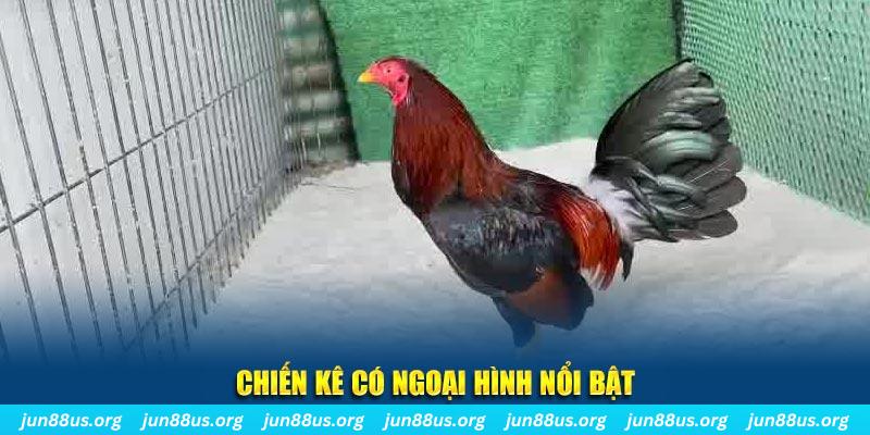 god55 chạy quảng cáo cho game bài bị phạt như thế nào