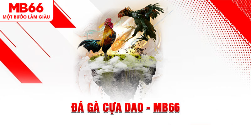 god55 đá gà sv388 gold