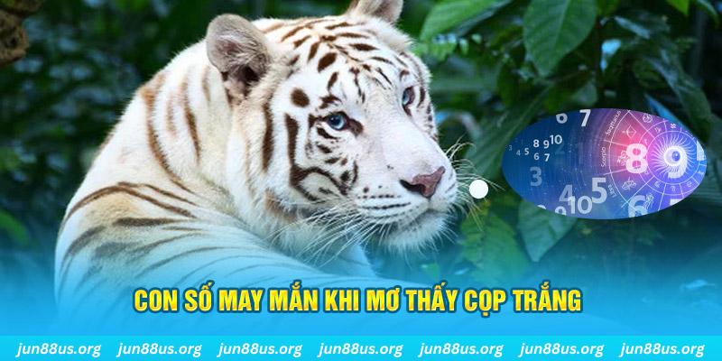 god55 đá gà trực tiếp 88